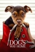 A Dogs Way Home 2019 WebRip Dual Audio Hindi English AAC 5.1 720p x264 MSub - mkvCinemas [Telly]