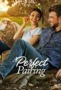 A.Perfect.Pairing.2022.1080p.WEBRip.x264