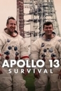 Apollo.13.Survival.2024.720p.WEBRip.800MB.x264-GalaxyRG