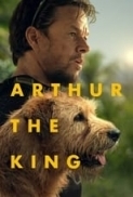 Arthur.The.King.2024.iTA-ENG.Bluray.1080p.x264-CYBER.mkv