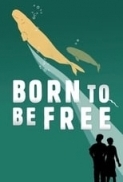 Born.to.Be.Free.2017.720p.WEBRip.800MB.x264-GalaxyRG