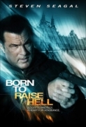 Born To Raise Hell 2010 DVDRip XviD-ViP3R