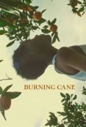 Burning.Cane.2019.1080p.NF.WEBRip.DDP5.1.x264-KAMIKAZE[TGx] ⭐