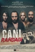 Cani.Randagi.2023.iTA.WEBDL.1080p.x264-CYBER.mkv