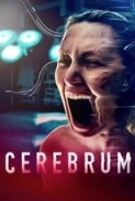 Cerebrum 2022 1080p WEB-DL DDP5 1 x264-AOC