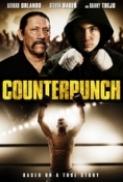 Counterpunch 2013 DVDRip XViD-PTpOWeR