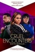 Cruel Encounters 2023 1080p WEB H264-DiMEPiECE