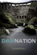 DamNation.2014.1080p.AMZN.WEBRip.DDP5.1.x265-SiGMA