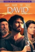 David 2013 Hindi 720p DvDrip x264 ...Hon3y