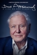 David.Attenborough.A.Life.on.Our.Planet.2020.720p.NF.WEBRip.800MB.x264-GalaxyRG ⭐