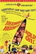 Hold.On.1966.DVDRip.x264