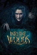 Into the Woods 2014 DVDSCR XviD AC3 EVO