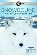 Snowbound.2017.DVDRip.x264-SPOOKS[TGx]