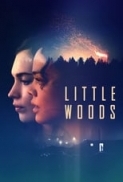 Little.Woods.2018.DVDRip.x264-LPD[EtMovies]