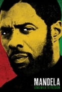 MANDELA: LONG WALK TO FREEDOM [2013]1080p BRRip[x264][DTS-HD MA][RoB]