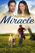 Marshall's Miracle (2015) 720p Web X264 Solar