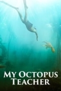 My.Octopus.Teacher.2020.1080p.NF.WEBRip.DDP5.1.x264-pawel2006[TGx] ⭐