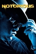 Notorious 2009 DVDRip {AN H264 By Dillenger}