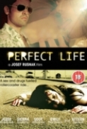 Perfect Life[2010]DVDRip XviD-ExtraTorrentRG