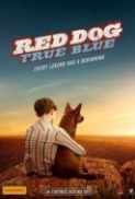 Red.Dog.True.Blue.2016.1080p.BluRay.x264-FOXM