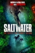 Saltwater.The.Battle.for.Ramree.Island.2021.720p.WEBRip.800MB.x264-GalaxyRG ⭐