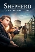 The Hero (2019) Geroy - Extended BluRay 1080p.H264 Ita Rus AC3 5.1 Sub Ita Eng ODS