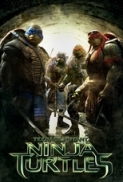 Teenage Mutant Ninja Turtles 2014 720p BRRip X264 AC3 CrEwSaDe 