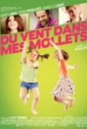 Du Vent dans Mes Mollets (2012) DVDrip (xvid) NL Subs. DMT 