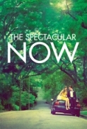 The.Spectacular.Now.2013.1080p.BluRay.x264-SPARKS [PublicHD]