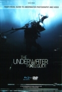 The Underwater Pixelguide 2012 720p BluRay FLAC 2 0 x264-DON [PublicHash]