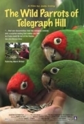 The Wild Parrots Of Telegraph Hill 2003 ENG SUB ENG, ITA DVDRip x264 Slappy