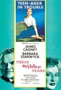 These.Wilder.Years.1956.DVDRIP.XVID