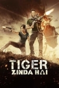 Tiger Zinda Hai 2017 DVDRip AAC Hindi x264 1.1GB