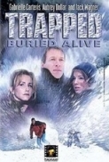 Trapped : Buried Alive (2002) 480p DVDRip x264 [Dual Audio] [Hindi 2.0 - English 2.0] -=!Dr.STAR!=- 