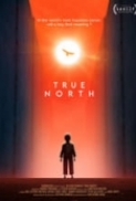 True North 2020 720p WEB HEVC x265-RMTeam