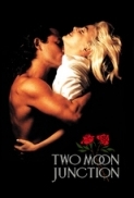 Two Moon Junction (1988) (1080p BluRay x265 HEVC 10bit AAC 2.0 Tigole) [QxR]