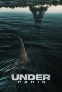 Under.Paris.2024.iTA-FRE.WEBDL.1080p.x264-CYBER.mkv