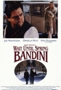 Wait Until Spring Bandini 1989 iNTERNAL DVDRip x264 EXViDiNT