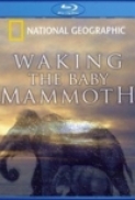 Waking.The.Baby.Mammoth.2009.BluRay.720p.x264.DTS-MySiLU [PublicHD]