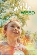 Waldo.on.Weed.2019.1080p.WEBRip.x264-R4RBG[TGx]