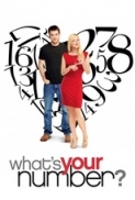 What\'s Your Number (2011) D.C 1080p AC3+DTS MKV Multi Subs