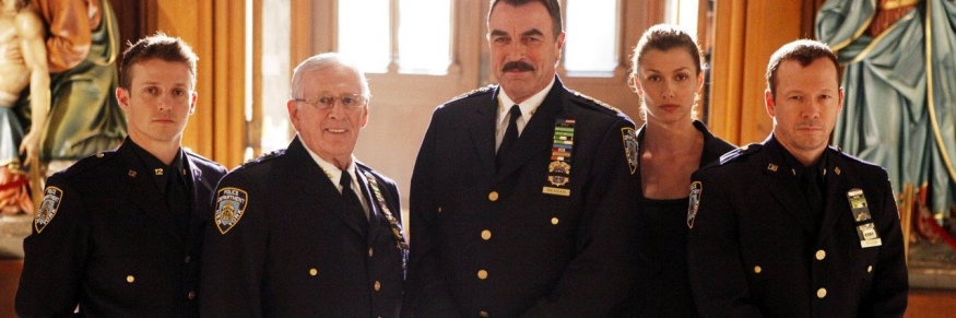 Blue Bloods S10E16 480p x264-mSD [eztv]